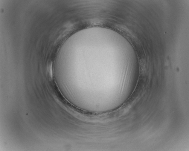 X0000071850028200607141801