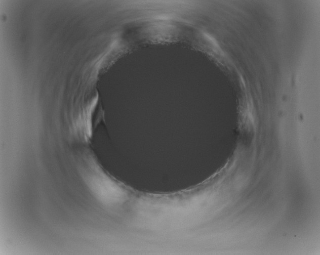 X0000071850029200607141801