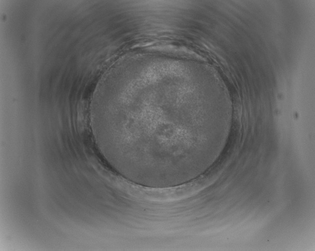 X0000071850030200607141801