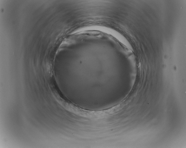 X0000071850031200607141801