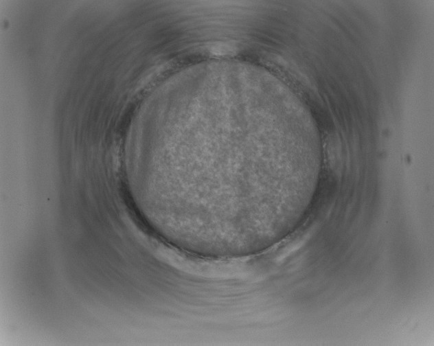 X0000071850032200607141801