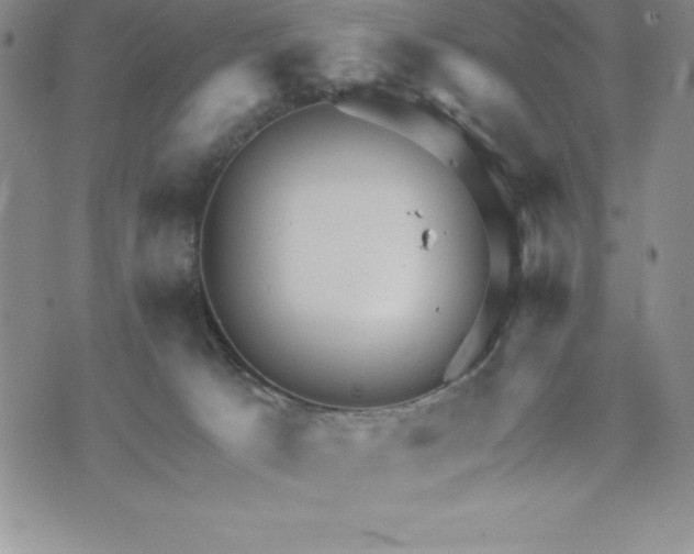 X0000071850033200607141801