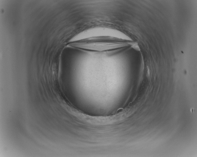 X0000071850034200607141801