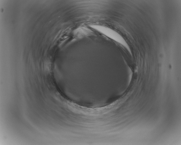 X0000071850035200607141801