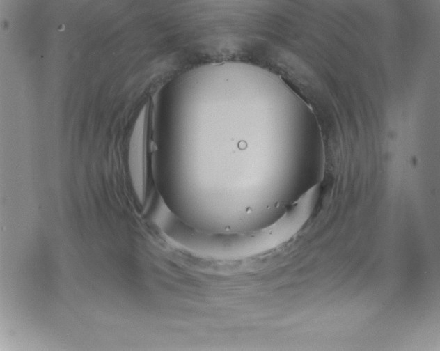 X0000071850037200607141801