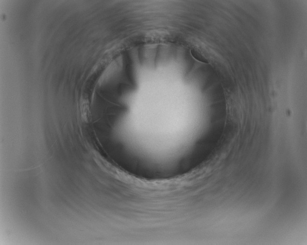 X0000071850038200607141801