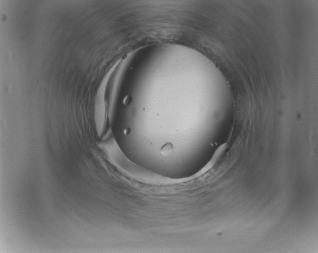 X0000071850040200607141801