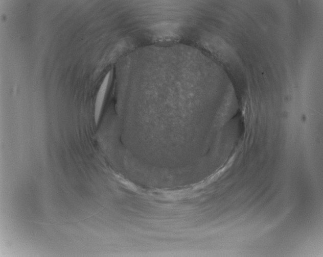 X0000071850041200607141801