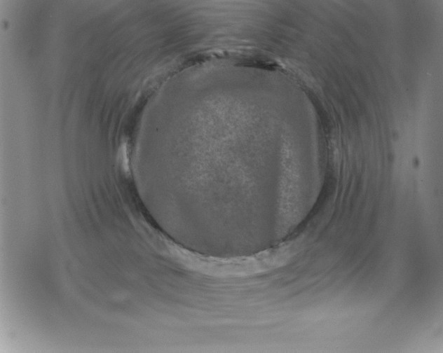 X0000071850042200607141801