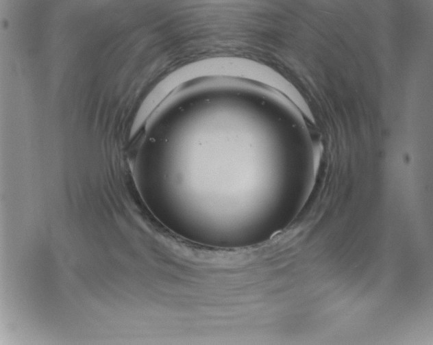 X0000071850044200607141801