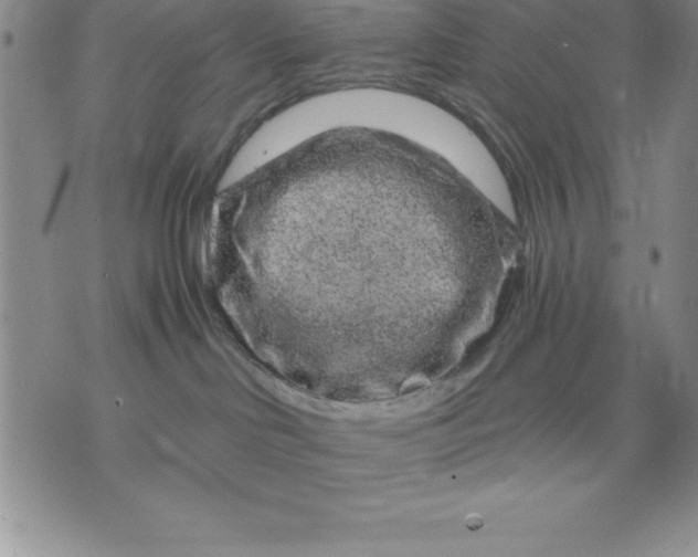 X0000071850046200607141801