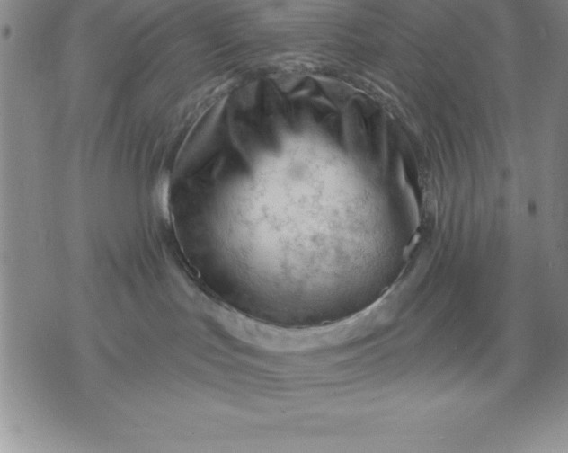 X0000071850047200607141801