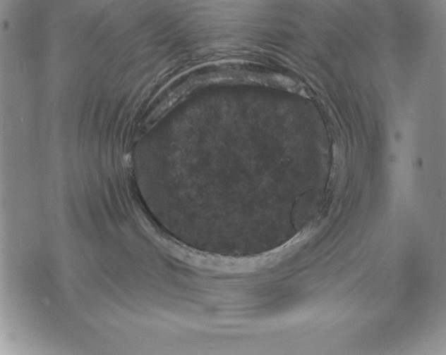 X0000071850048200607141801