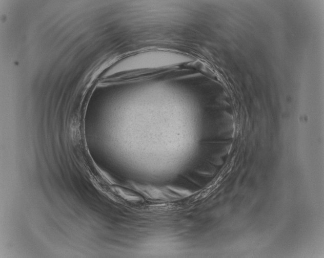 X0000071850050200607141800