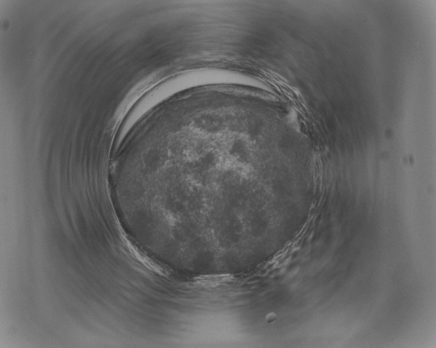 X0000071850051200607141800