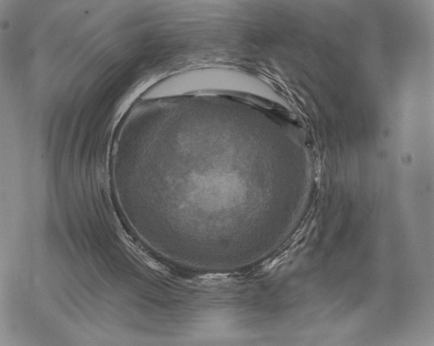 X0000071850052200607141800