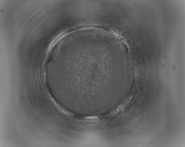 X0000071850053200607141800