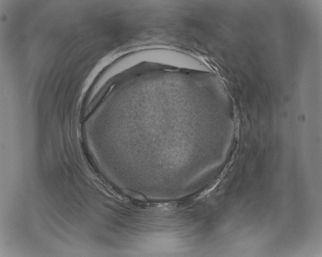 X0000071850056200607141800