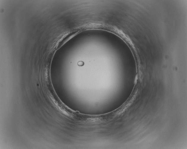 X0000071850057200607141800