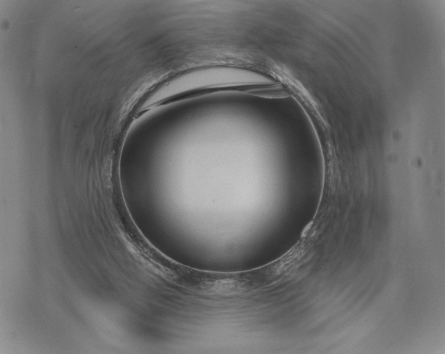 X0000071850058200607141800