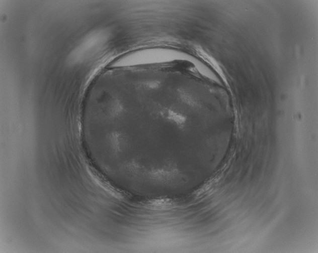 X0000071850059200607141800