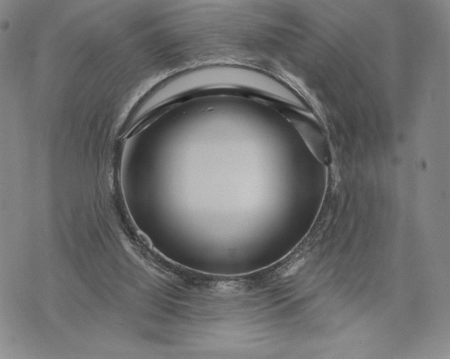 X0000071850060200607141800