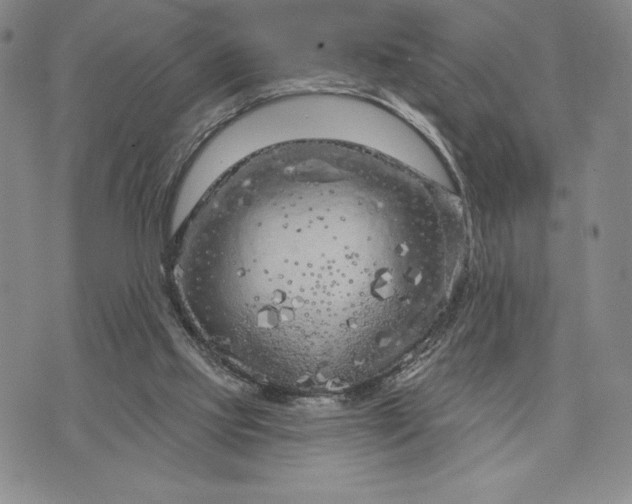 X0000071850061200607141800