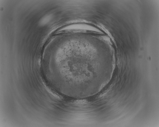 X0000071850063200607141800