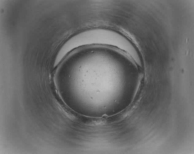 X0000071850065200607141800