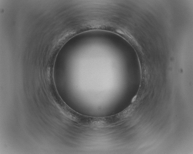 X0000071850066200607141800