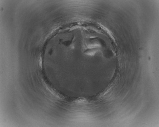 X0000071850067200607141800