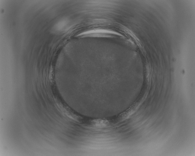 X0000071850073200607141800