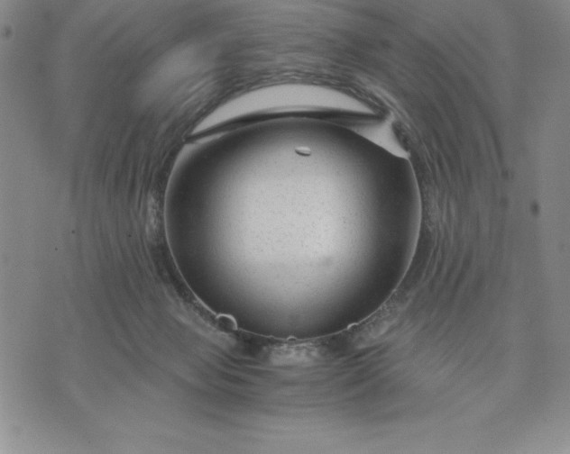 X0000071850077200607141800