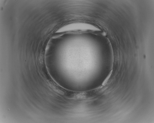 X0000071850078200607141800