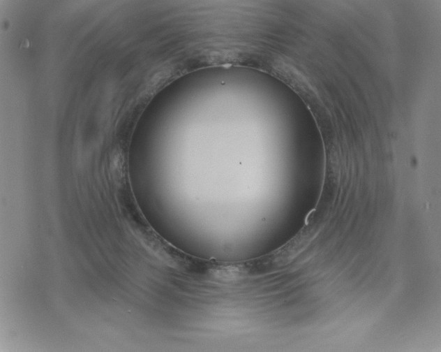 X0000071850079200607141801