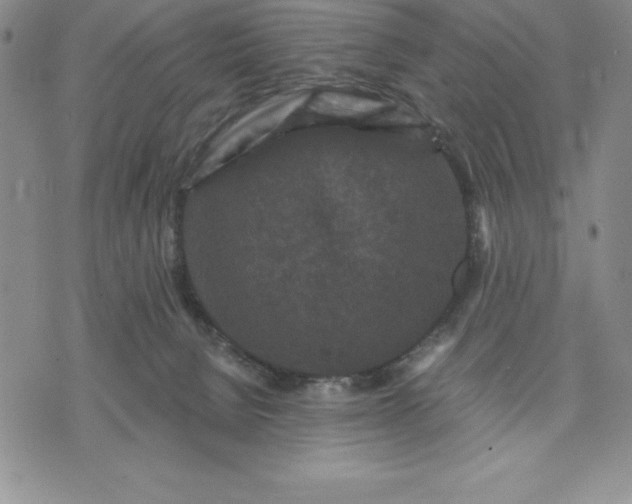 X0000071850080200607141801