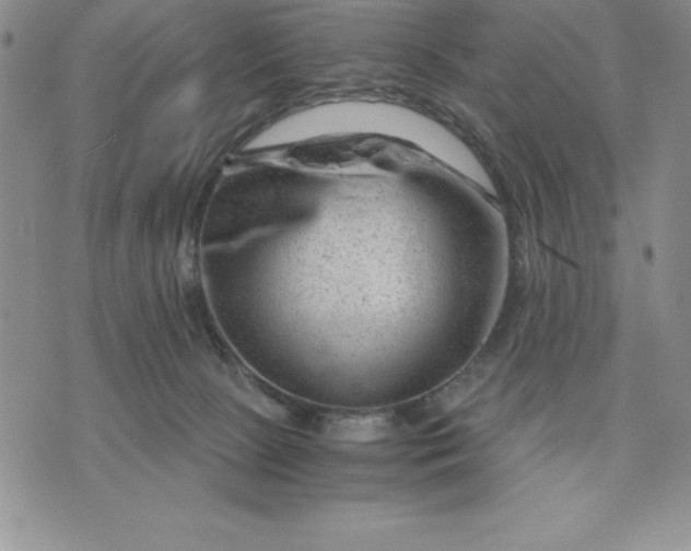 X0000071850081200607141801