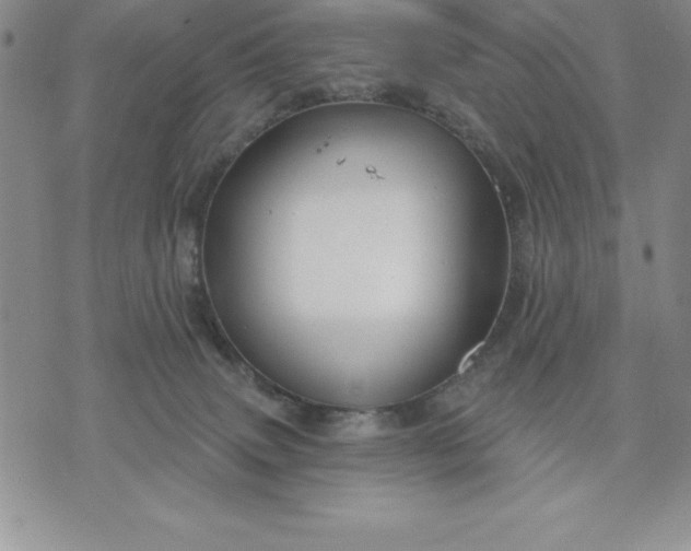 X0000071850083200607141801