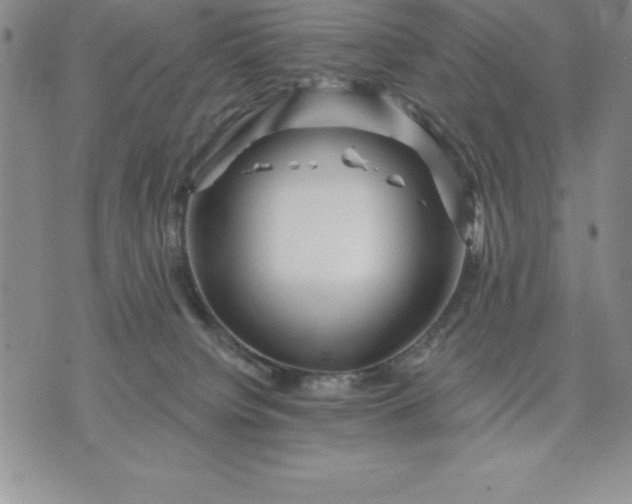 X0000071850084200607141801