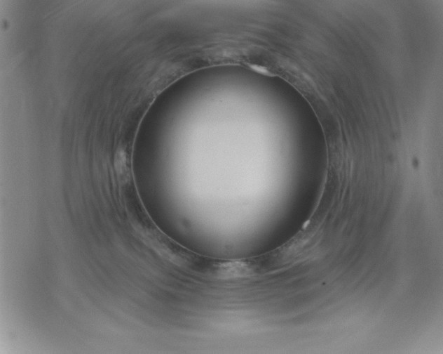 X0000071850087200607141801