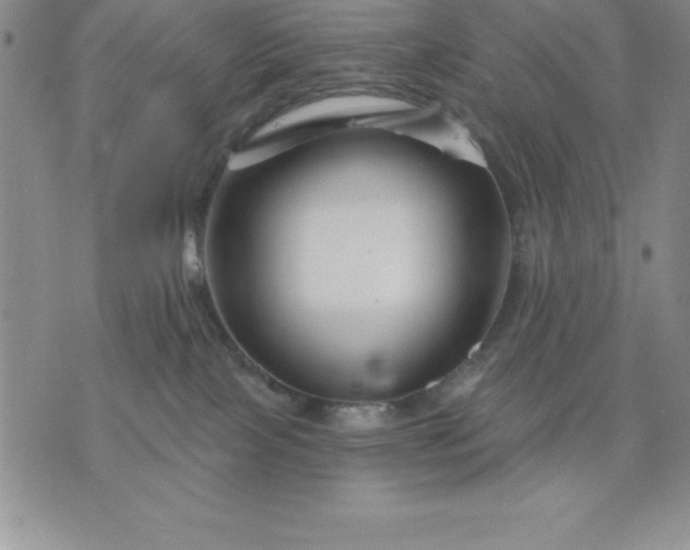 X0000071850089200607141801