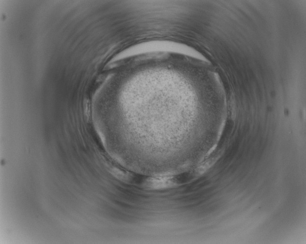 X0000071850093200607141801