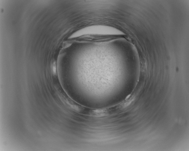 X0000071850095200607141801