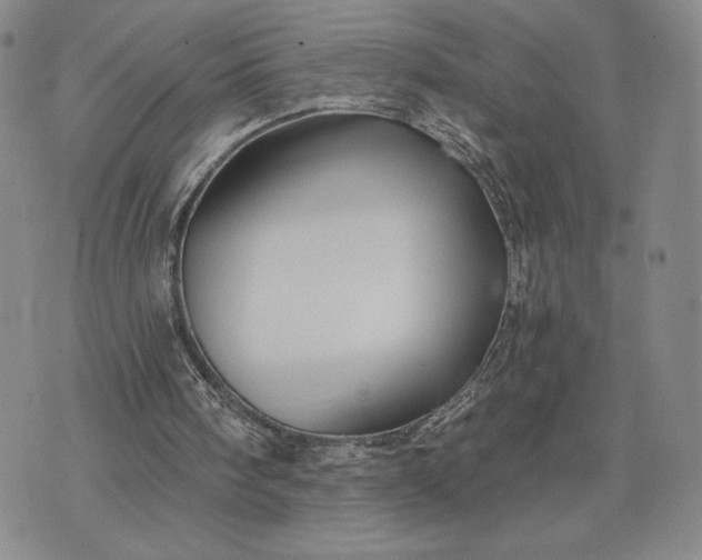 X0000071850098200607141800