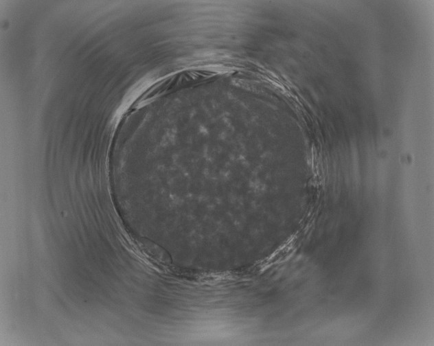 X0000071850099200607141800