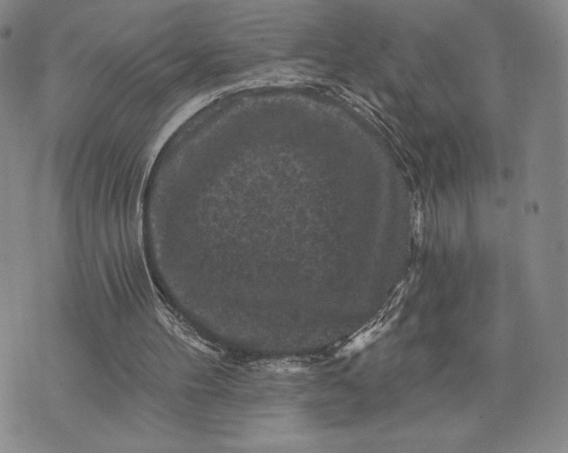 X0000071850100200607141800