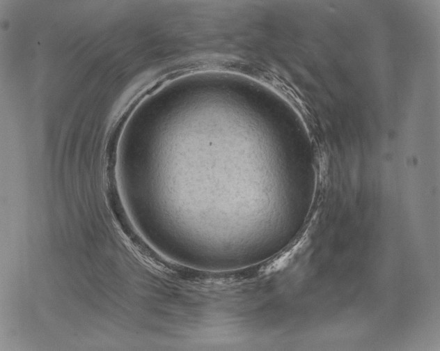 X0000071850101200607141800