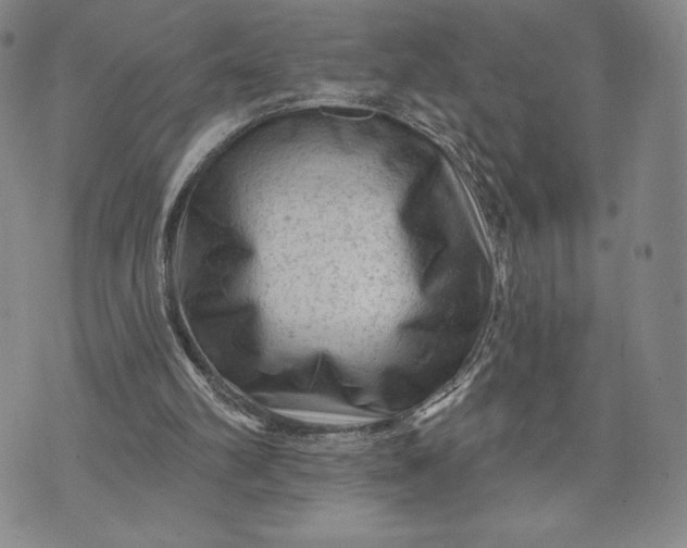 X0000071850102200607141800