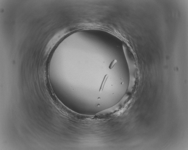 X0000071850103200607141800