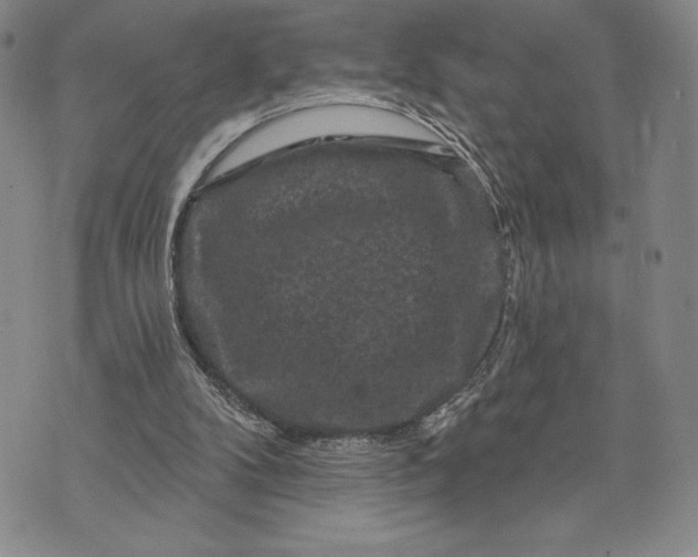 X0000071850104200607141800